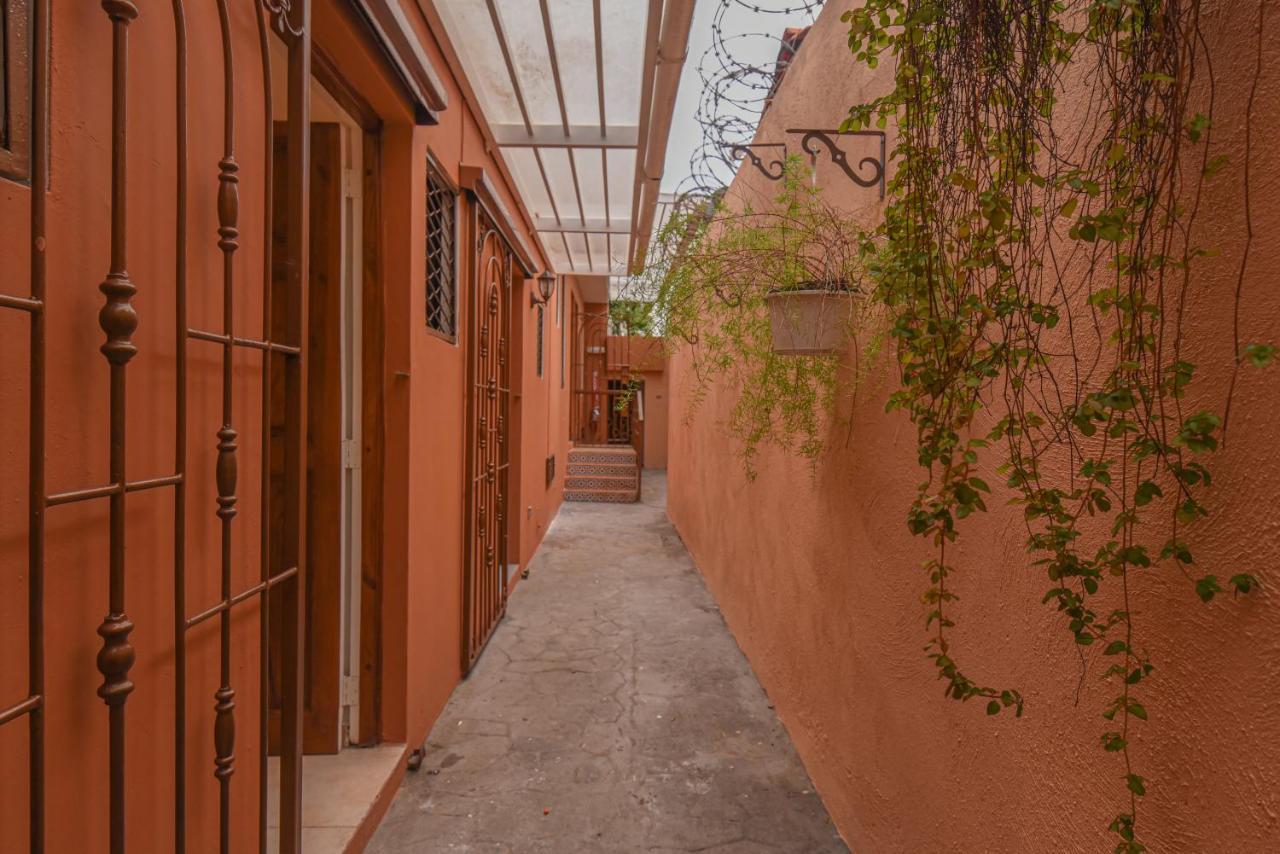 Ph 19 Guesthouse Hotel In Gazcue 聖多明哥 外观 照片