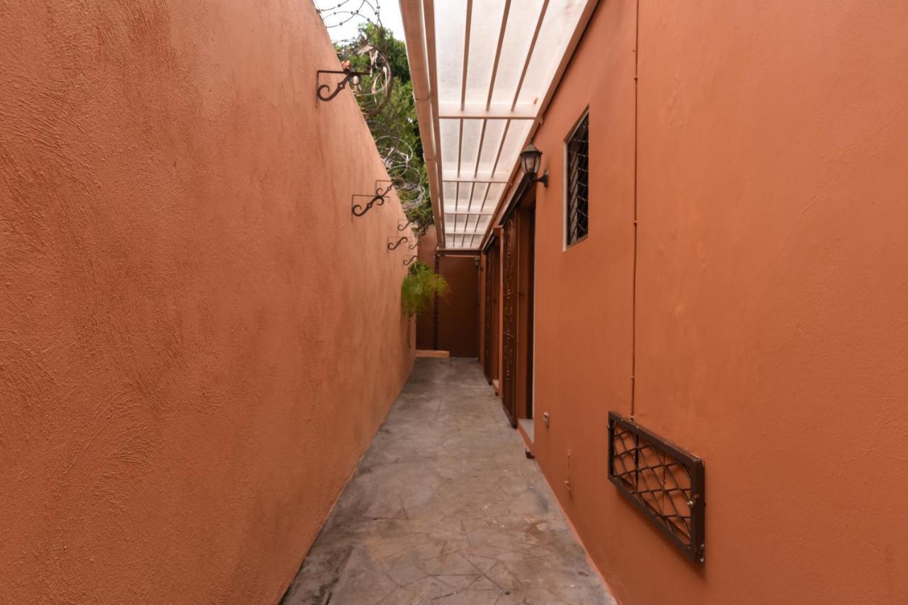 Ph 19 Guesthouse Hotel In Gazcue 聖多明哥 外观 照片